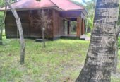 A Clean , Elegant and Sound Beach Property For Sale At Dar Es Salaam Tanzania East Africa .