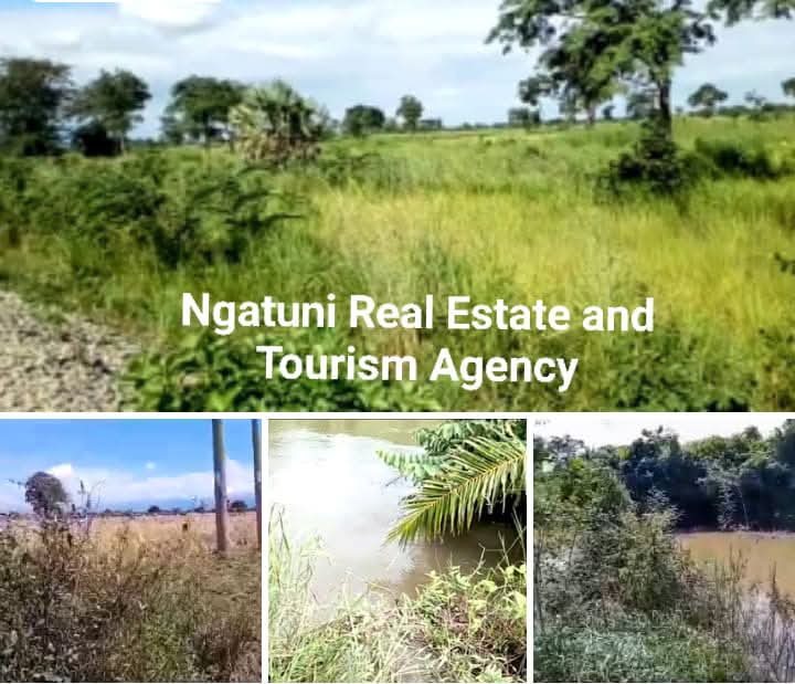 Fertile Land For Sale at Ifakara, Morogoro Tanzania East Africa